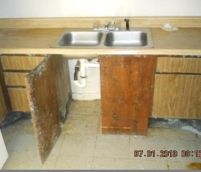 kitchen with mold damage 
