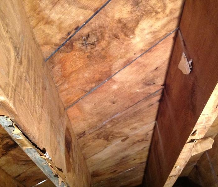 restored ceiling joists 