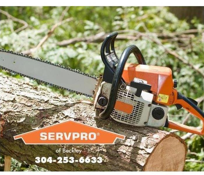 tree with chainsaw 